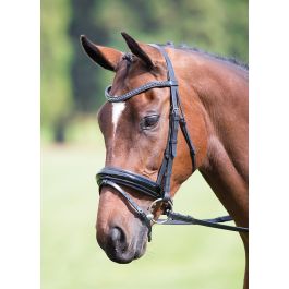 SHIRES AVIEMORE LARGE DIAMANTE  BROWBAND
