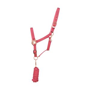 Hy Rose Gold Head Collar and Lead Rope