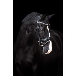 Imperial Riding Fria Flash Bridle