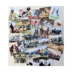 Caroline Cook Equestrian and Countryside Cards - Multi Pack of 60