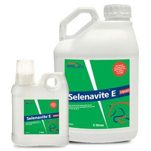 Equine Products Selenavite E Liquid - 1L