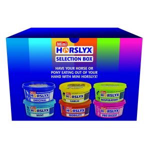 Horslyx Mini Licks Selection Box - 6 x 650gm