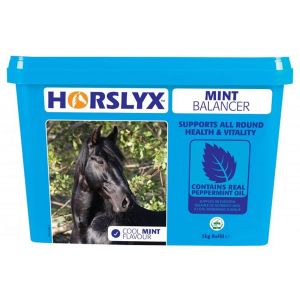 Horslyx Mint Balancer Lick - 5kg