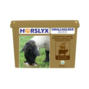 Horslyx Smallholder Block - 5kg