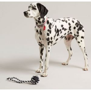 Joules Rubber and Rope Dog Toy - Navy/White