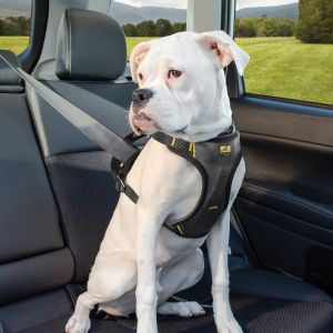 Kurgo Impact Seatbelt Harness