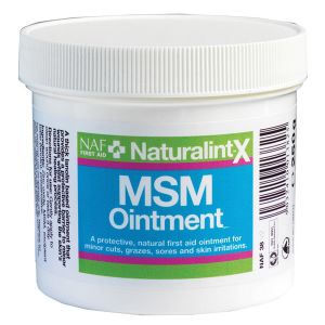 NAF NaturalintX MSM Ointment - 250gm