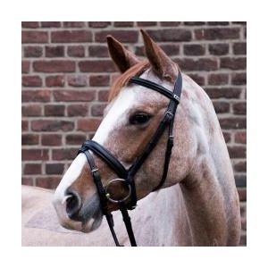 Stubben Waterford Snaffle Bridle