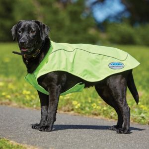 Weatherbeeta Reflective Dog Coat