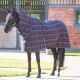 Shires Tempest Plus 100 Stable Combo Rug