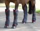 Shires ARMA Travel Boots 