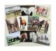Caroline Cook Equestrian Cards - Multi Pack of 10