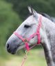 Shires Wessex Headcollar & Lead Rope