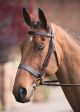 Shires Rossano Hunter Cavesson Bridle