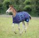 Shires Tempest Foal Turnout Rug