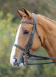 Shires Aviemaore Double Bridle