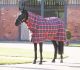 Shires Tempest Plus 200 Stable Combo Rug
