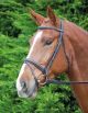 Shires Aviemore Comfort Fit Bridle