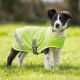 EQUI-FLECTOR Dog Safety Vest
