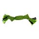 Jolly Pets Knot-n-Chew Squeaker Rope 2 Knot - Green/Black