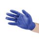 Neogen Gloves Nitrile Powder Free TrueBlue